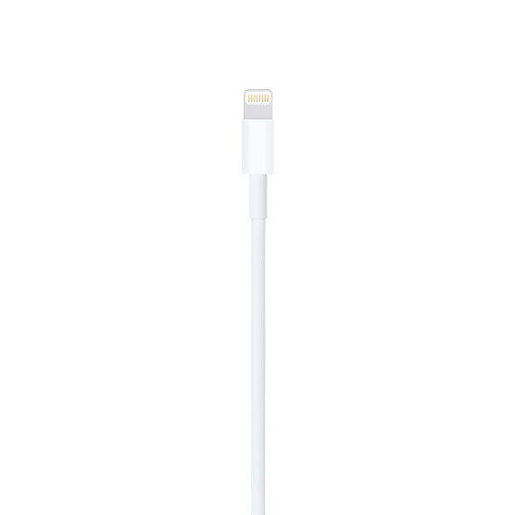 Apple Lightning to USB Cable (0.5m) 2