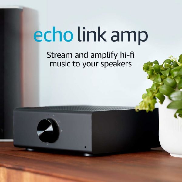 Echo Link Amp