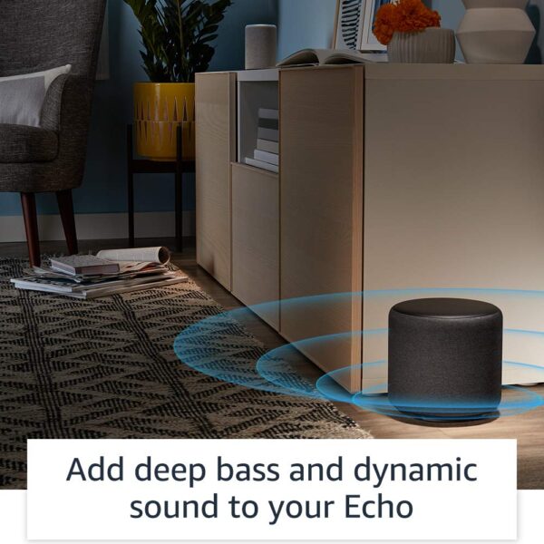 Echo Sub (Black)
