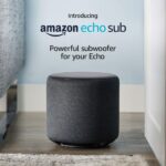 Echo Sub (Black)