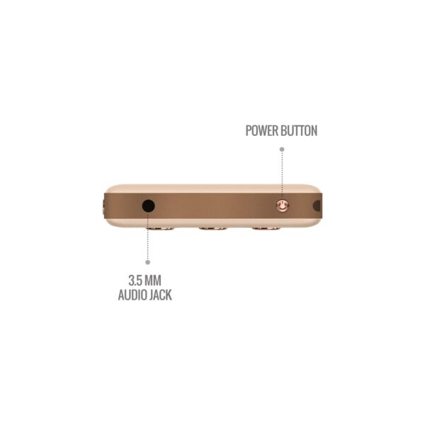 Saregama Carvaan Go Gold -(Rose Gold) 4