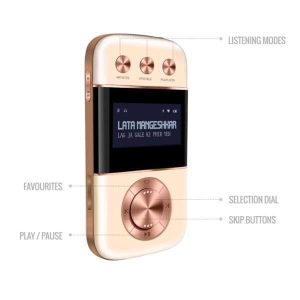Saregama Carvaan Go Gold -(Rose Gold) 5