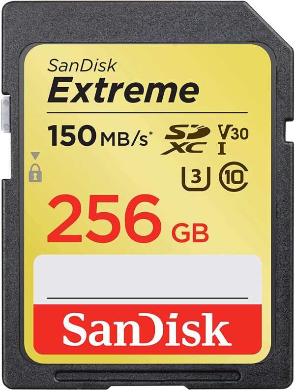 SanDisk Extreme SDXC (256 GB) 5