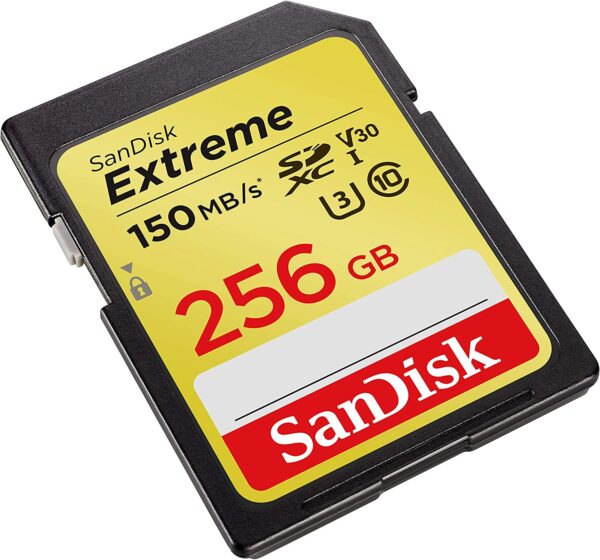SanDisk Extreme SDXC (256 GB) 4