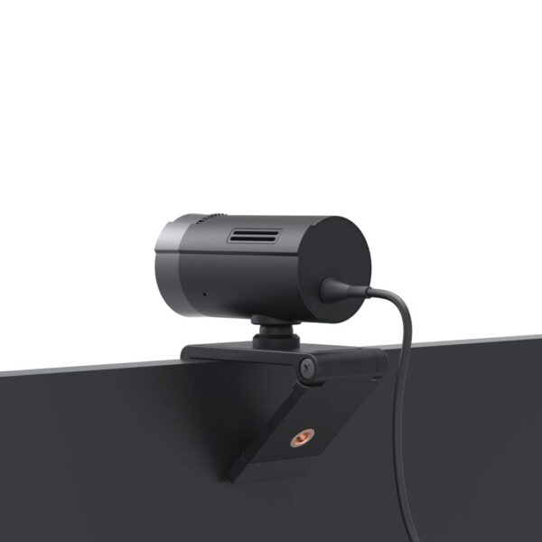 HP w100 480p/30 Fps Webcam 4
