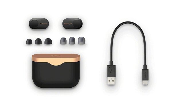 Sony WF-1000XM3 True Wireless Bluetooth Earbuds (Black) 5